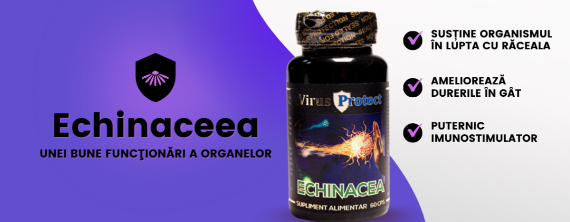 echinaceea - proprietăți