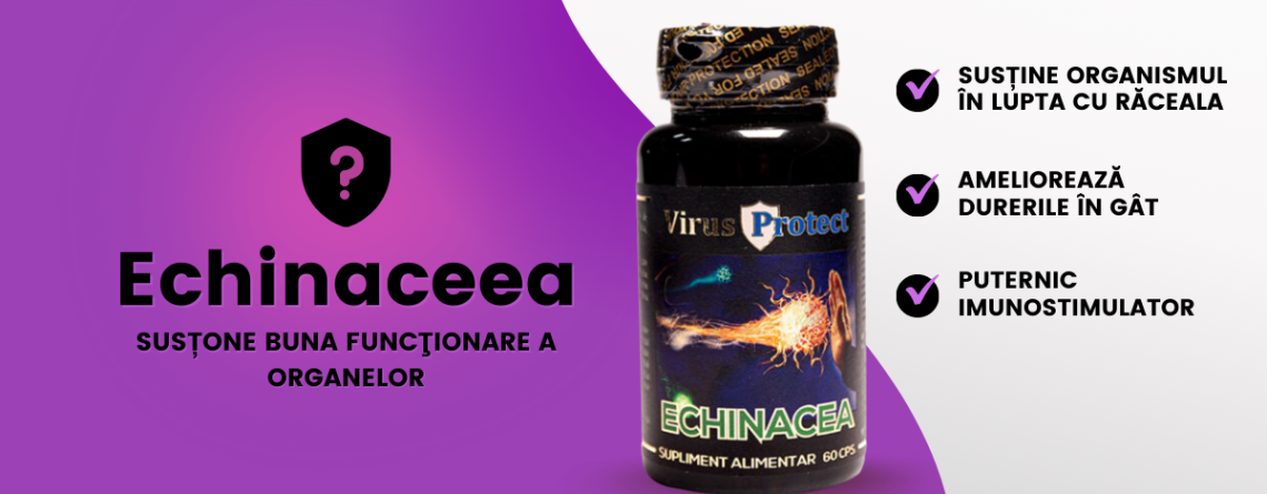 Tulburări de atenţie sau deficit de concentrare – cum le prevenim? Cauze şi tratament