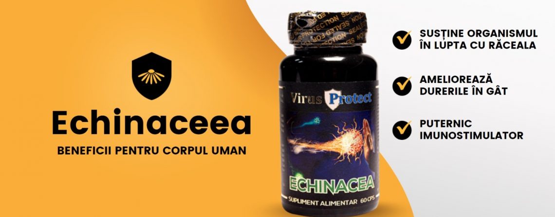Echinaceea - Articol Virus Protect